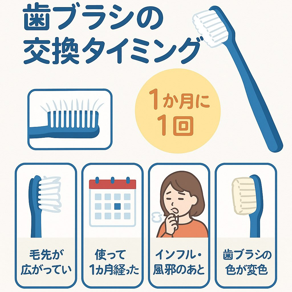 歯ブラシの交換タイミング、知っていますか？