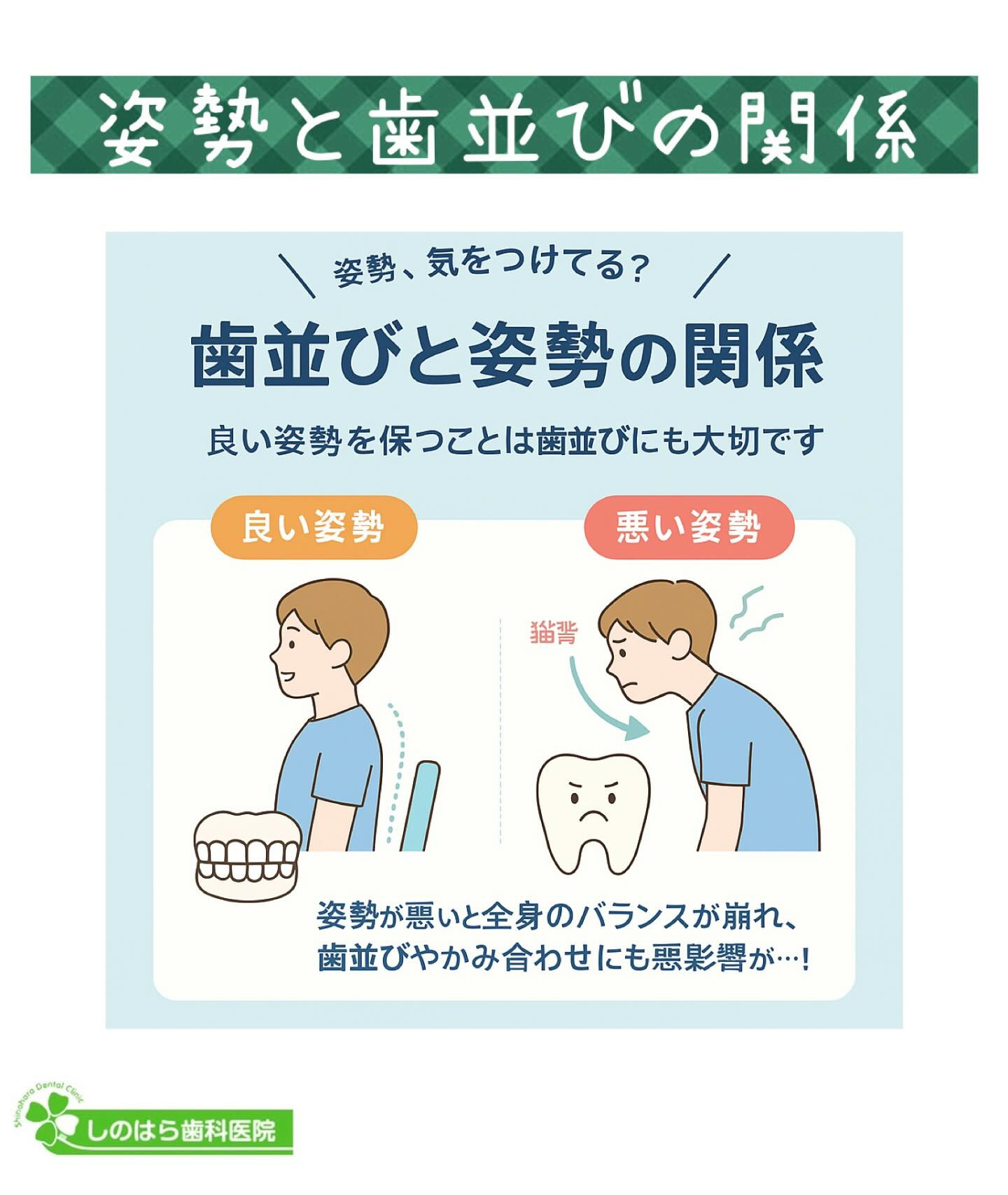 【実は…姿勢が歯並びに影響する！？】