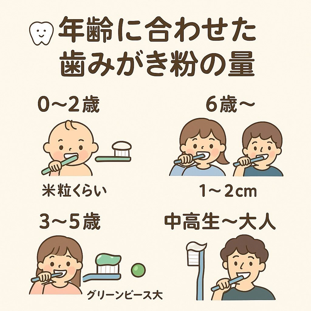 ✨ 年齢に合わせた歯みがき粉の量、知っていますか？