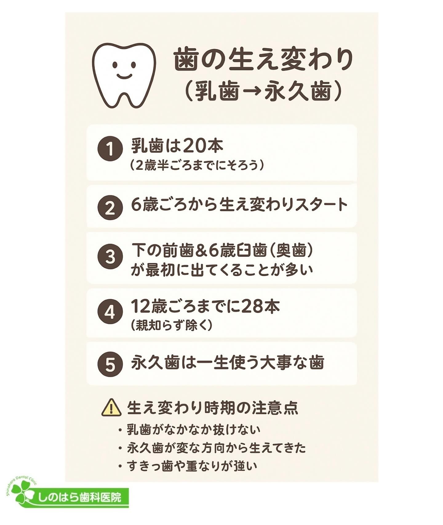 【歯の生え変わり】知ってる？✨