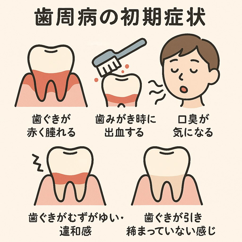 歯周病を初期のうちに対処すべき理由は、進行すると元に戻せない